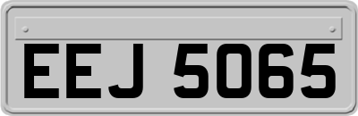 EEJ5065