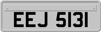 EEJ5131