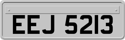 EEJ5213