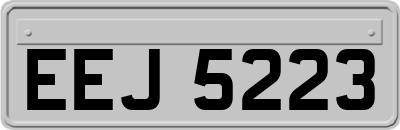 EEJ5223