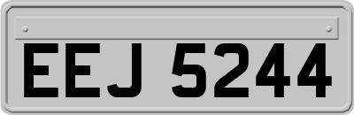 EEJ5244
