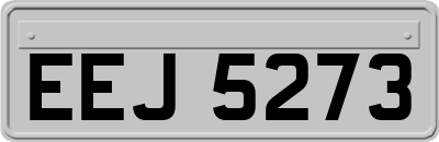 EEJ5273