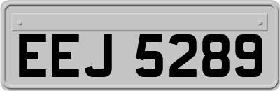 EEJ5289