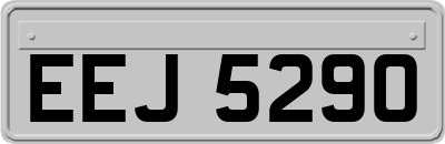 EEJ5290