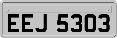 EEJ5303