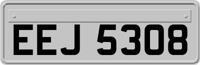 EEJ5308