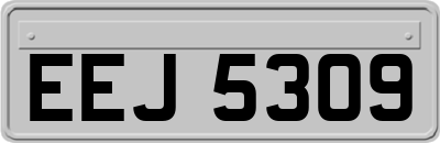 EEJ5309