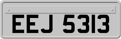 EEJ5313