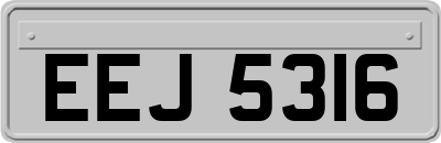 EEJ5316