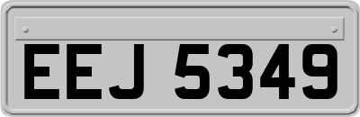 EEJ5349