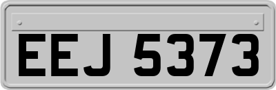 EEJ5373