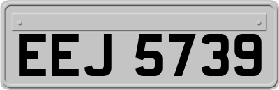 EEJ5739
