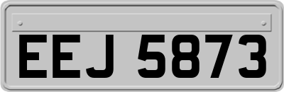 EEJ5873