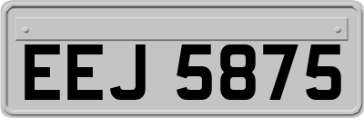 EEJ5875