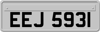 EEJ5931