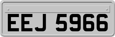 EEJ5966