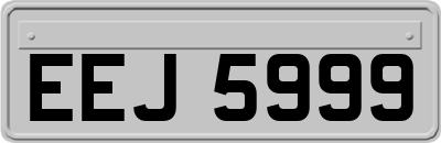 EEJ5999
