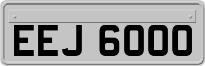 EEJ6000