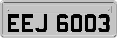EEJ6003