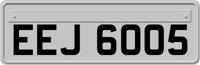 EEJ6005