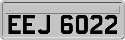 EEJ6022