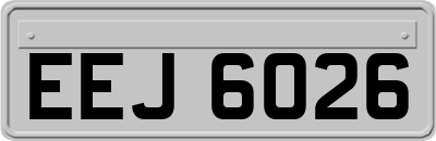 EEJ6026
