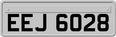 EEJ6028