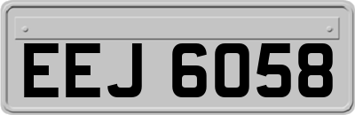 EEJ6058
