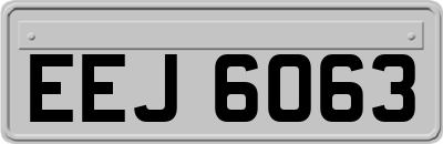 EEJ6063
