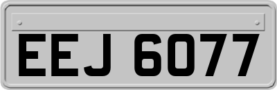 EEJ6077