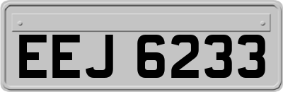 EEJ6233