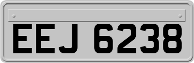 EEJ6238