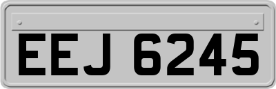 EEJ6245