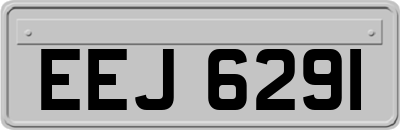EEJ6291
