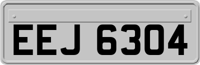 EEJ6304