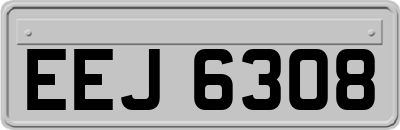 EEJ6308