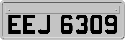 EEJ6309