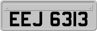EEJ6313