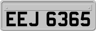 EEJ6365