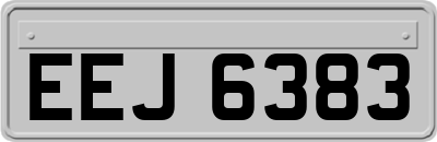 EEJ6383