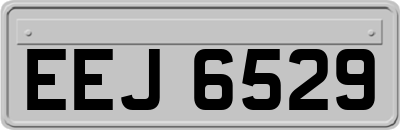 EEJ6529