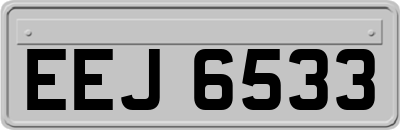 EEJ6533