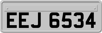 EEJ6534