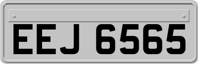 EEJ6565