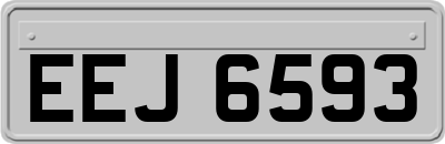 EEJ6593
