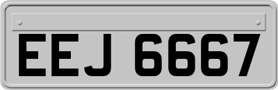 EEJ6667