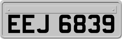 EEJ6839