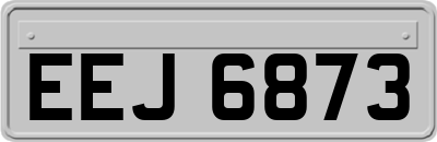 EEJ6873