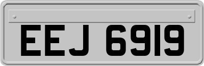 EEJ6919