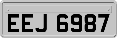 EEJ6987